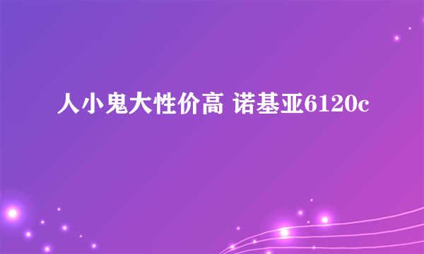 人小鬼大性价高 诺基亚6120c