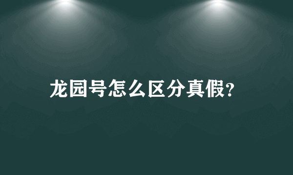 龙园号怎么区分真假？