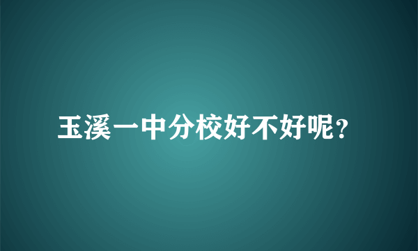 玉溪一中分校好不好呢？