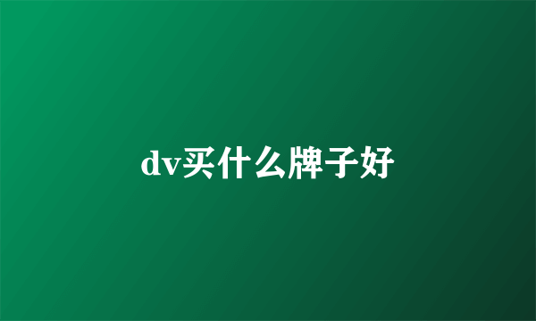 dv买什么牌子好