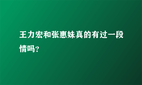 王力宏和张惠妹真的有过一段情吗？