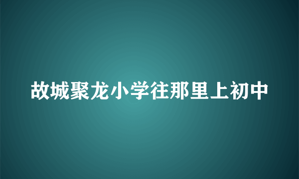 故城聚龙小学往那里上初中