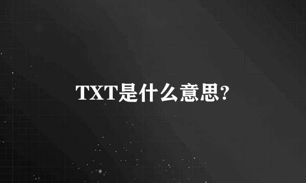 TXT是什么意思?