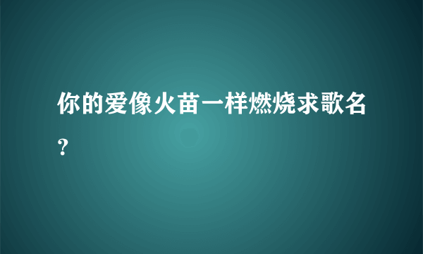 你的爱像火苗一样燃烧求歌名？