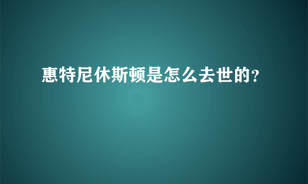 惠特尼休斯顿是怎么去世的？