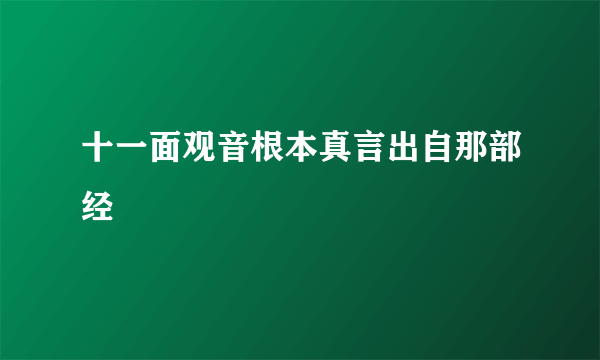 十一面观音根本真言出自那部经