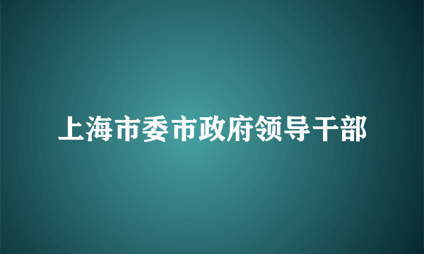 上海市委市政府领导干部