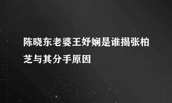 陈晓东老婆王妤娴是谁揭张柏芝与其分手原因