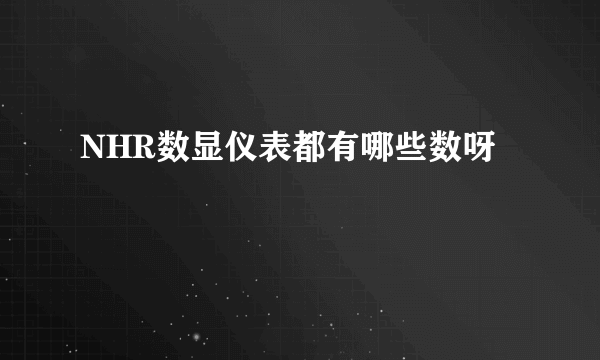 NHR数显仪表都有哪些数呀