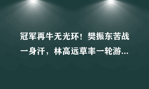 冠军再牛无光环！樊振东苦战一身汗，林高远草率一轮游！-国球汇