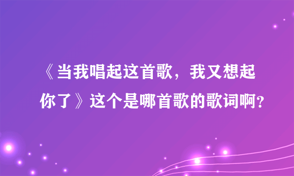 《当我唱起这首歌，我又想起你了》这个是哪首歌的歌词啊？