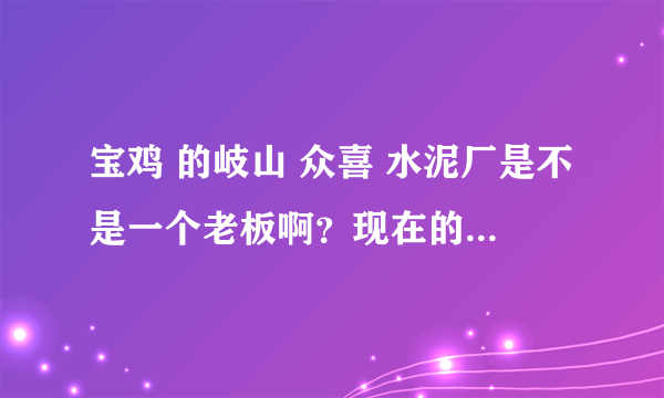 宝鸡 的岐山 众喜 水泥厂是不是一个老板啊？现在的效益怎么样？