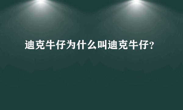 迪克牛仔为什么叫迪克牛仔？