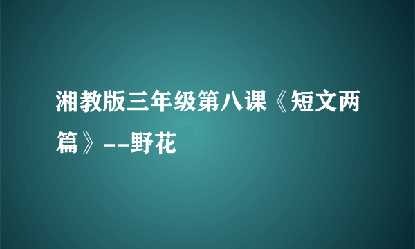 湘教版三年级第八课《短文两篇》--野花