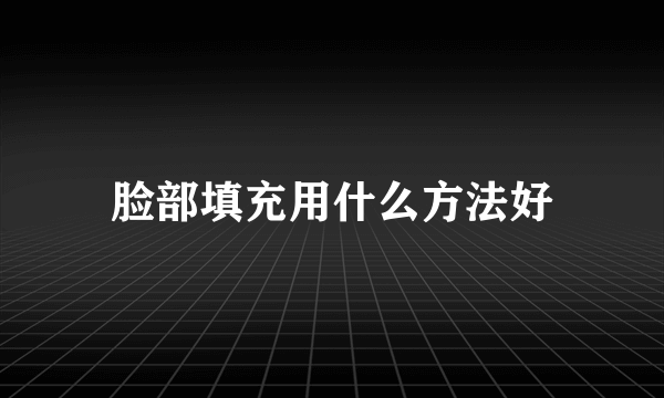 脸部填充用什么方法好