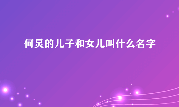 何炅的儿子和女儿叫什么名字