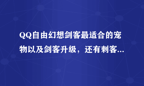 QQ自由幻想剑客最适合的宠物以及剑客升级，还有刺客如何带天？