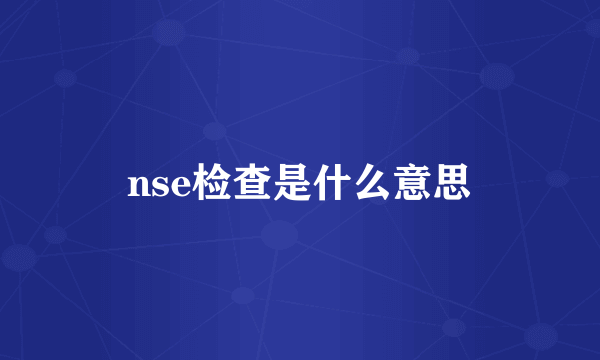 nse检查是什么意思