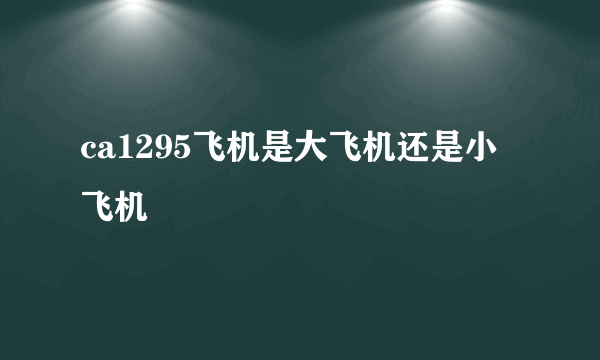 ca1295飞机是大飞机还是小飞机