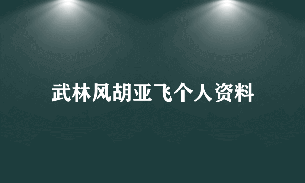 武林风胡亚飞个人资料