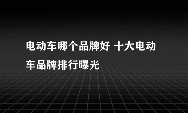 电动车哪个品牌好 十大电动车品牌排行曝光