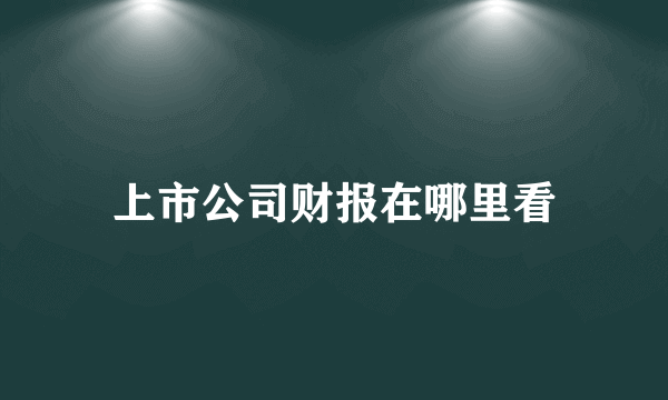 上市公司财报在哪里看