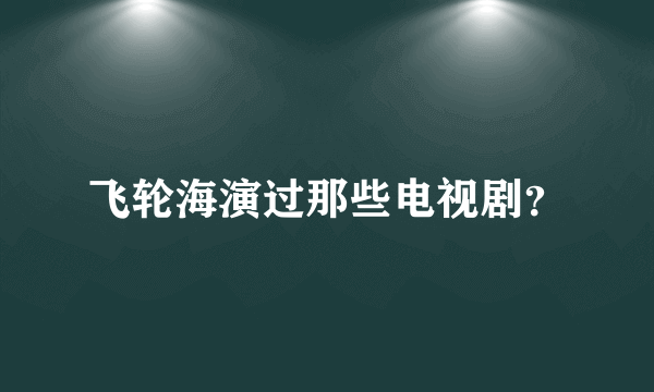 飞轮海演过那些电视剧？