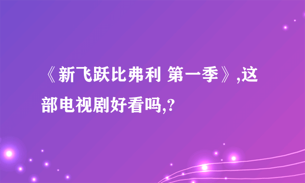 《新飞跃比弗利 第一季》,这部电视剧好看吗,?