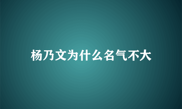 杨乃文为什么名气不大