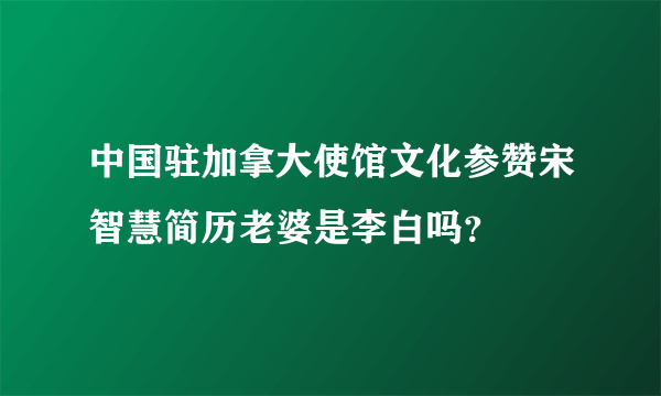 中国驻加拿大使馆文化参赞宋智慧简历老婆是李白吗？