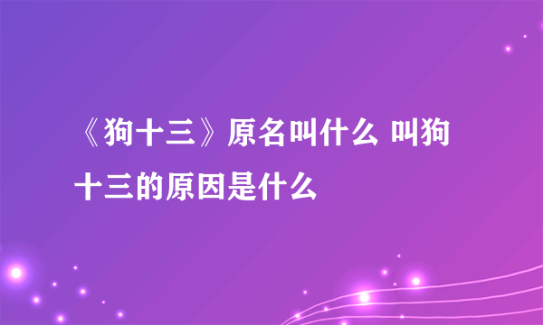 《狗十三》原名叫什么 叫狗十三的原因是什么