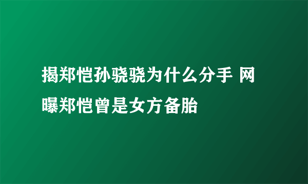 揭郑恺孙骁骁为什么分手 网曝郑恺曾是女方备胎