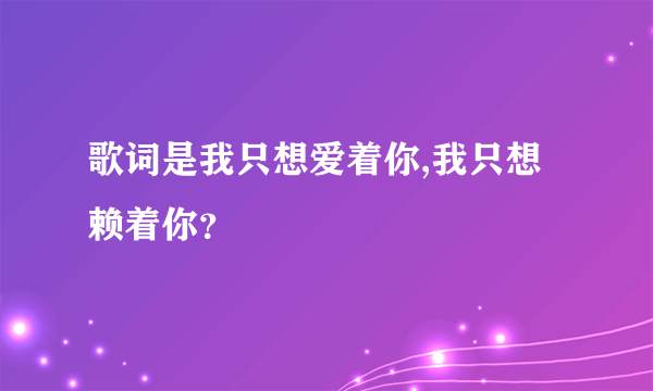 歌词是我只想爱着你,我只想赖着你？