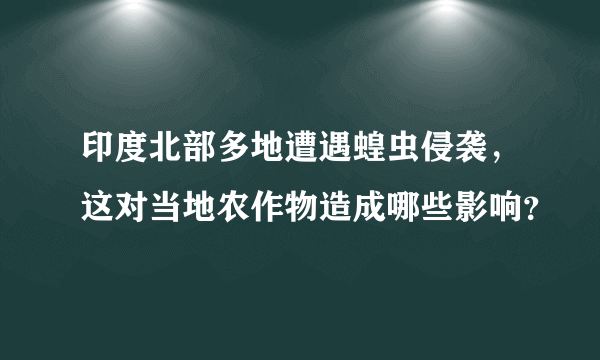 印度北部多地遭遇蝗虫侵袭，这对当地农作物造成哪些影响？