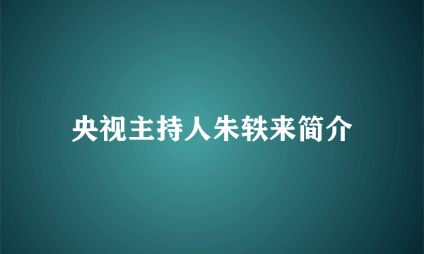 央视主持人朱轶来简介