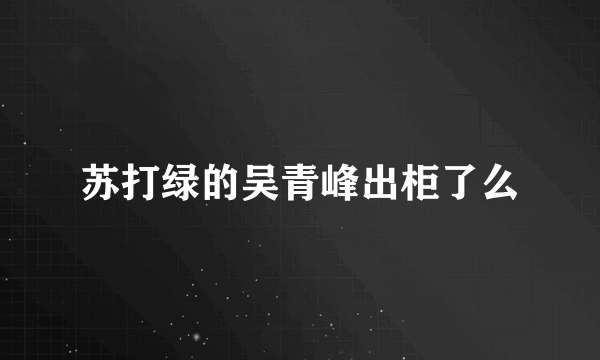 苏打绿的吴青峰出柜了么