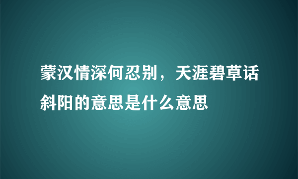 蒙汉情深何忍别，天涯碧草话斜阳的意思是什么意思