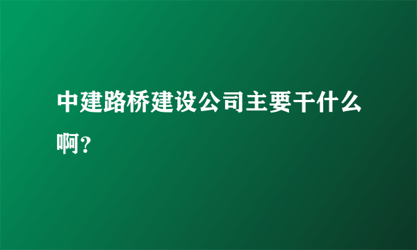 中建路桥建设公司主要干什么啊？