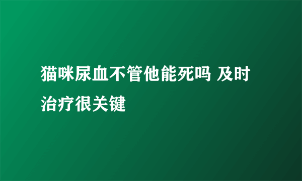 猫咪尿血不管他能死吗 及时治疗很关键