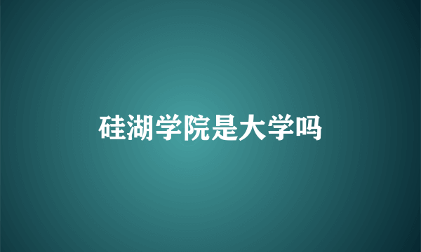 硅湖学院是大学吗