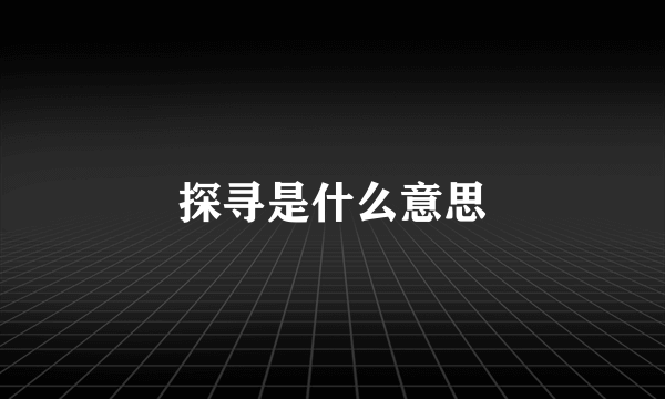 探寻是什么意思