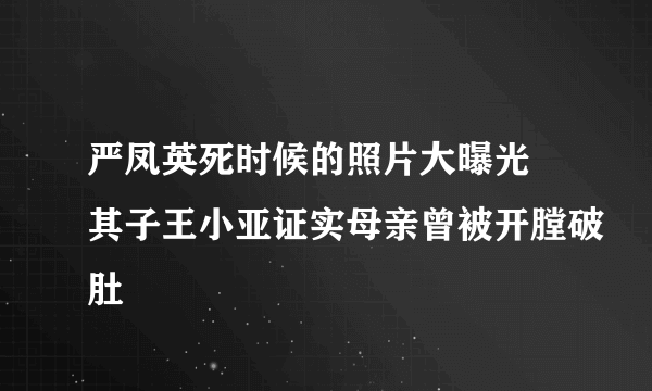 严凤英死时候的照片大曝光 其子王小亚证实母亲曾被开膛破肚