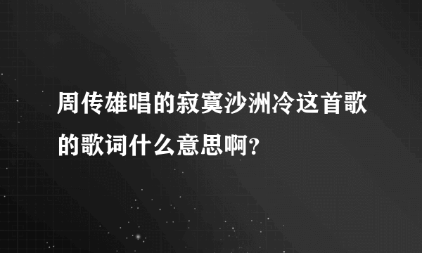 周传雄唱的寂寞沙洲冷这首歌的歌词什么意思啊？