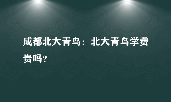 成都北大青鸟：北大青鸟学费贵吗？