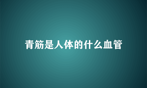 青筋是人体的什么血管