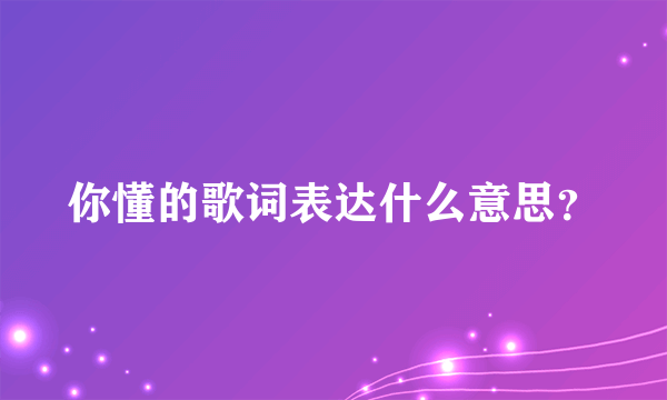 你懂的歌词表达什么意思？