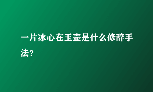 一片冰心在玉壶是什么修辞手法？