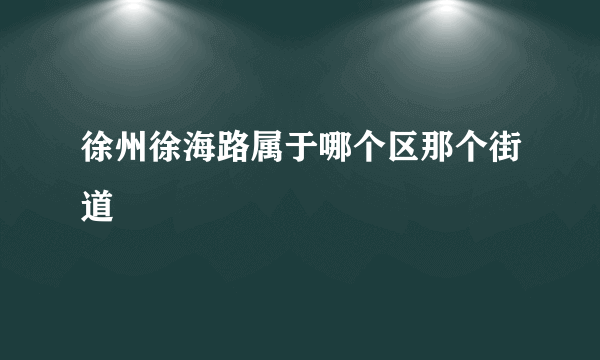 徐州徐海路属于哪个区那个街道