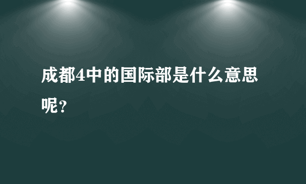 成都4中的国际部是什么意思呢？