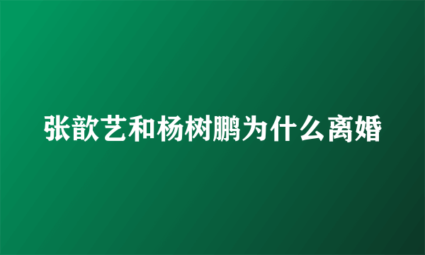 张歆艺和杨树鹏为什么离婚